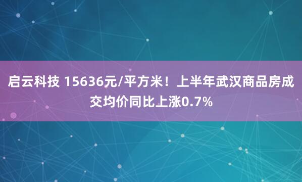 启云科技 15636元/平方米！上半年武汉商品房成交均价同比上涨0.7%