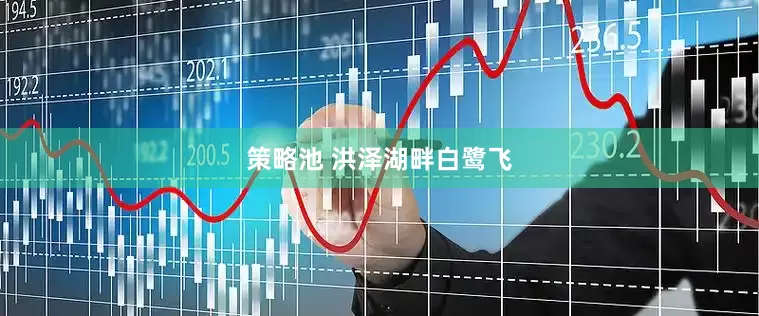 策略池 洪泽湖畔白鹭飞