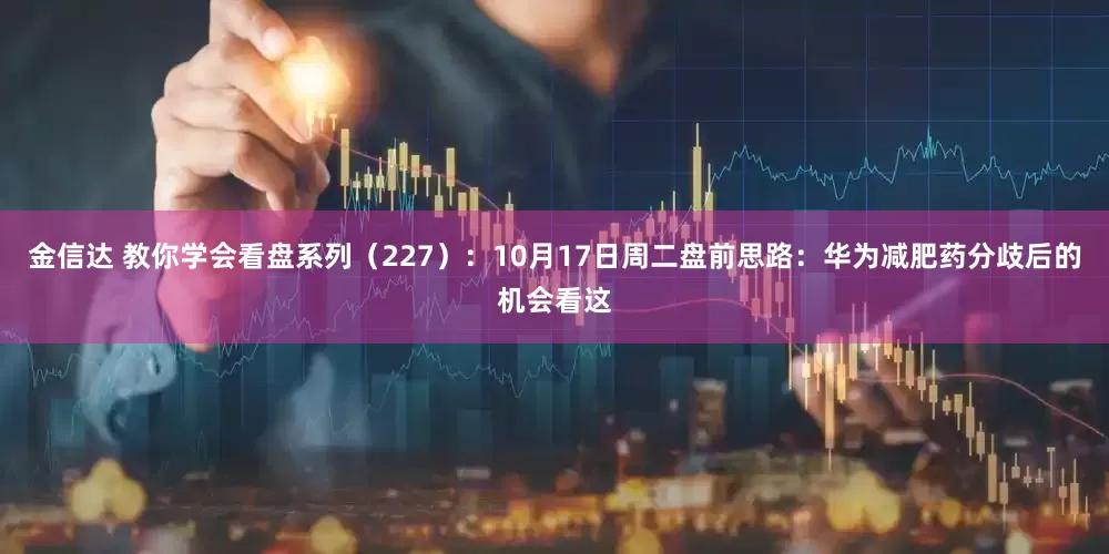 金信达 教你学会看盘系列（227）：10月17日周二盘前思路：华为减肥药分歧后的机会看这
