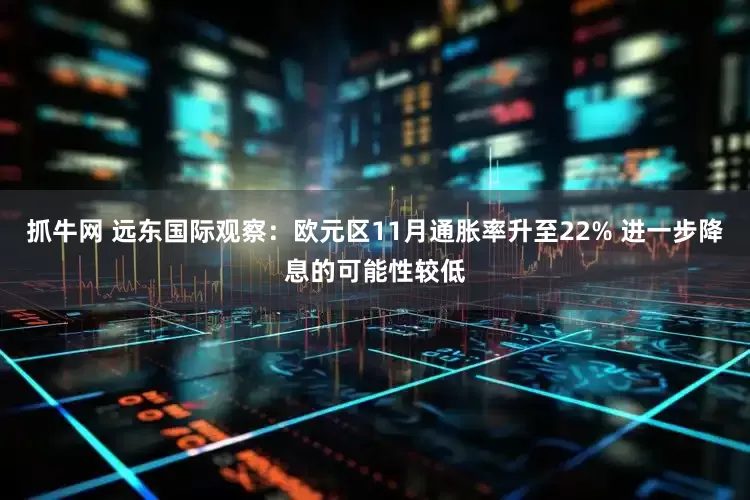 抓牛网 远东国际观察：欧元区11月通胀率升至22% 进一步降息的可能性较低