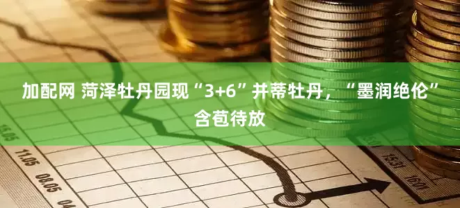 加配网 菏泽牡丹园现“3+6”并蒂牡丹，“墨润绝伦”含苞待放